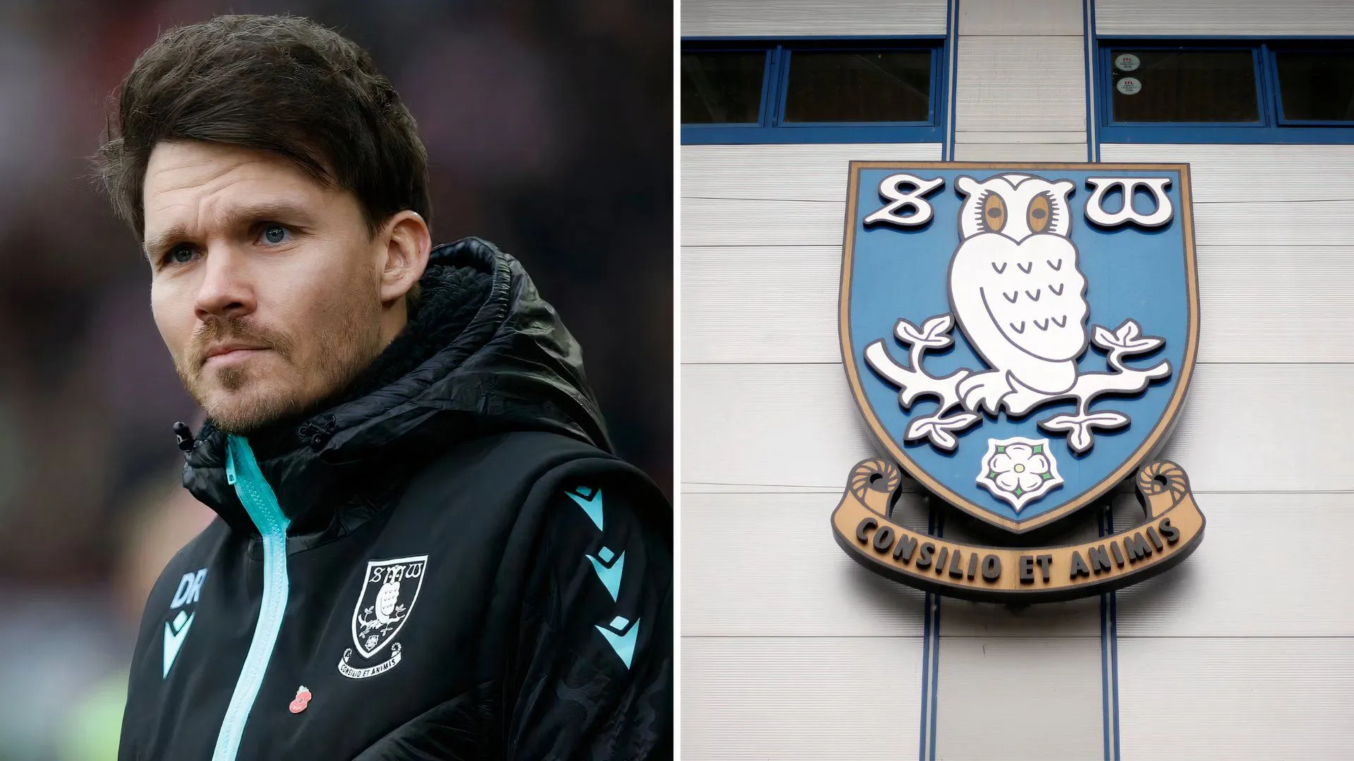Danny Rohl đối mặt mùa hè đầy thách thức cùng Sheffield Wednesday