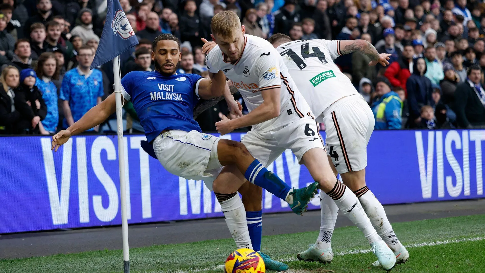 Harry Darling thi đấu cho Swansea