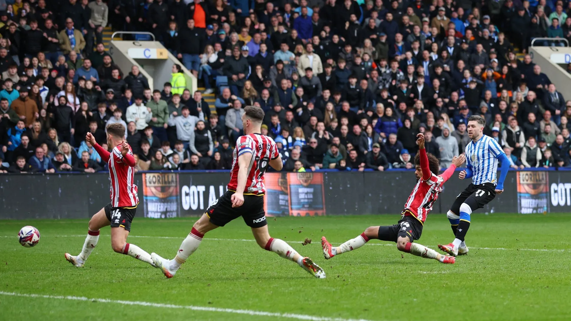 Josh Windass ăn mừng bàn thắng vào lưới đối thủ trong trận derby Sheffield