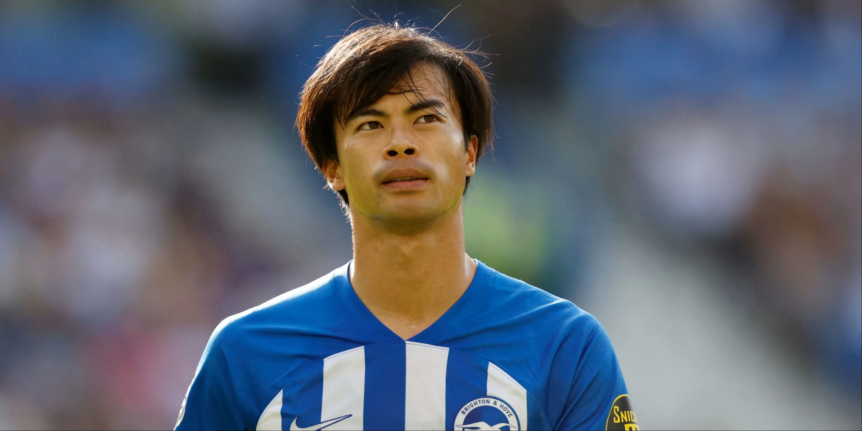 Kaoru Mitoma trong màu áo Brighton