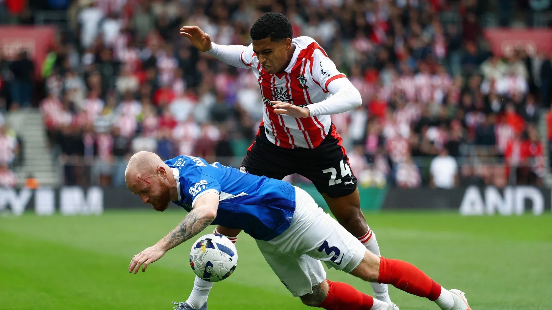 Cảnh chung của đội Southampton trong một trận đấu