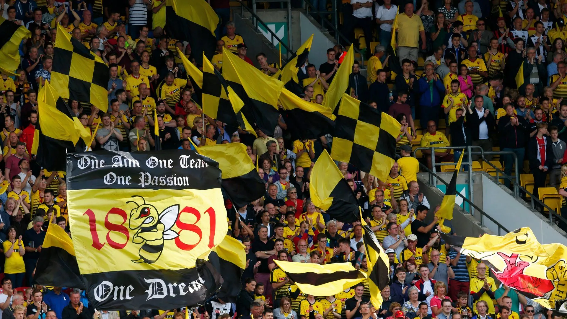 CĐV Watford thể hiện cảm xúc trên khán đài Vicarage Road