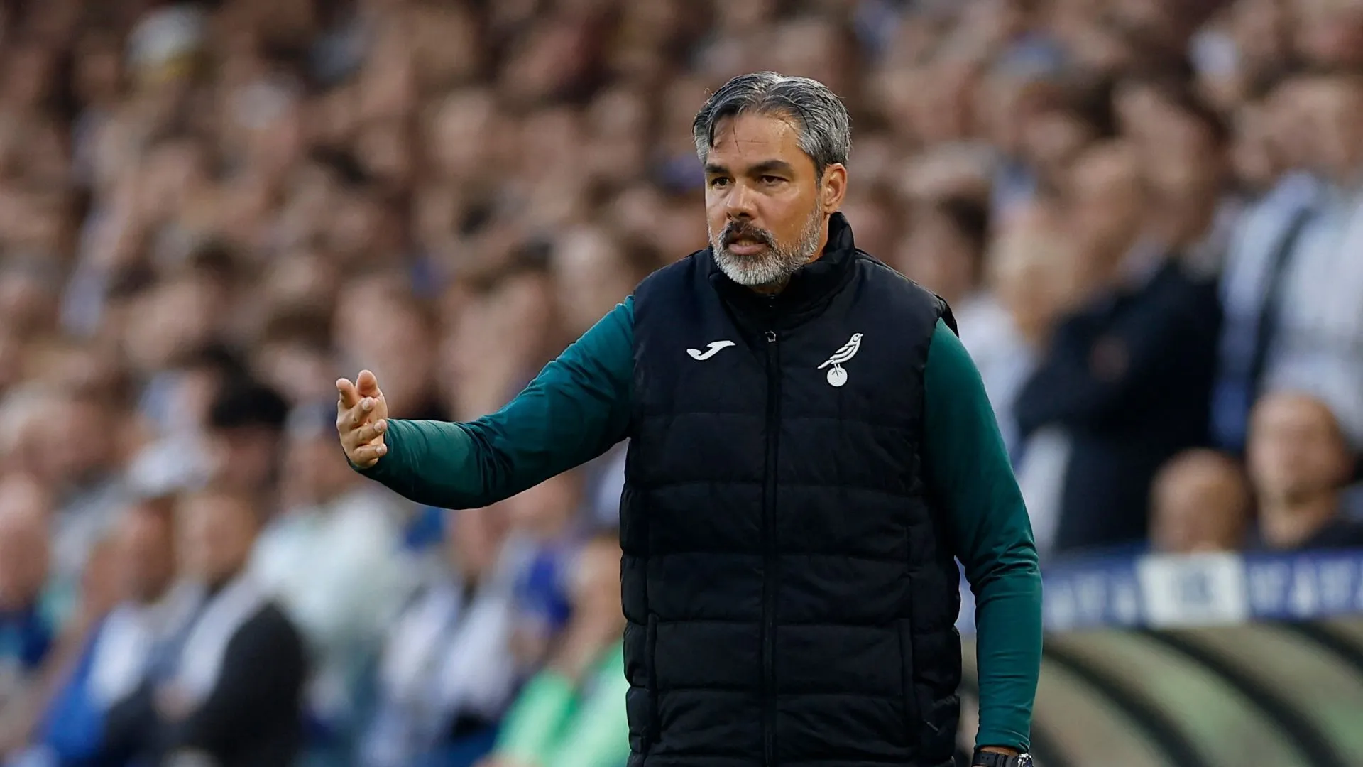 David Wagner bị sa thải sau thất bại trước Leeds ở bán kết play-off